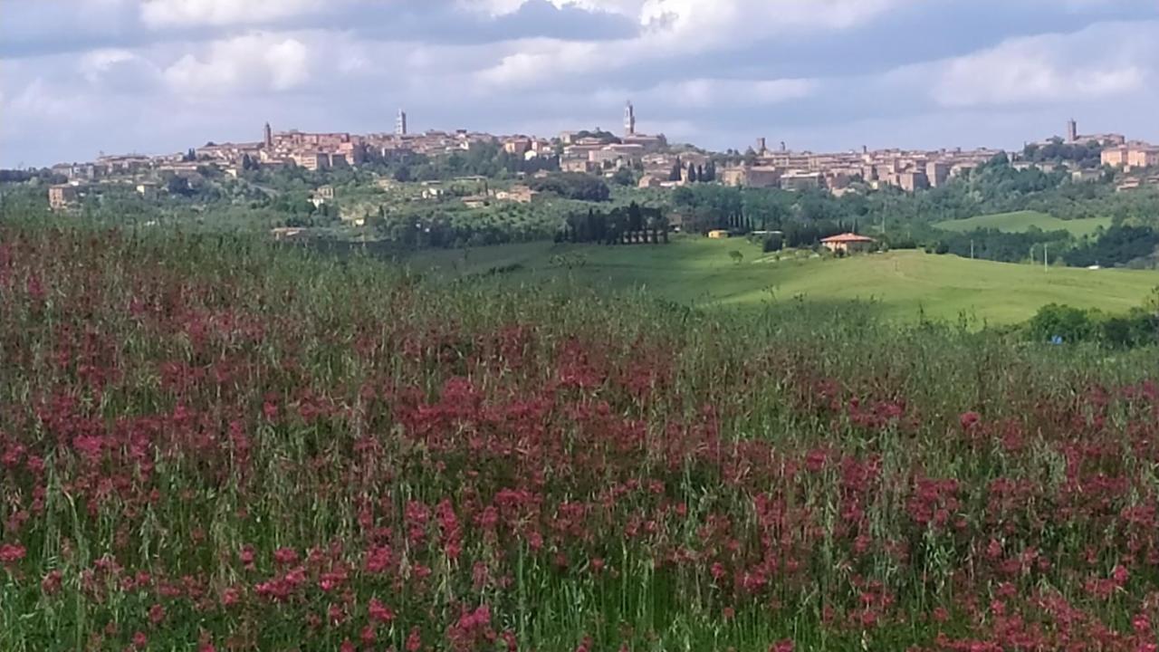 سيينا Dago Farmhouse المظهر الخارجي الصورة